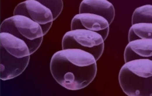 气相焊技术在SMT和模块封装中的应用与优势