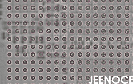 xray设备.png xray设备.png