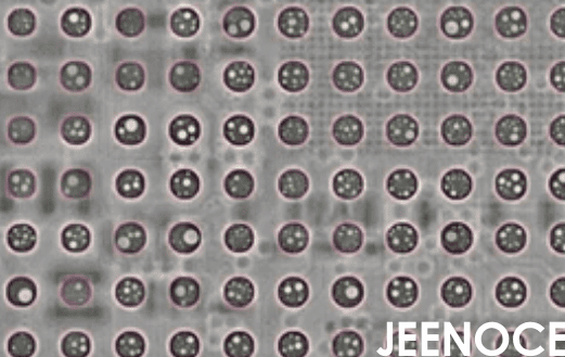 x-ray设备.png x-ray设备.png