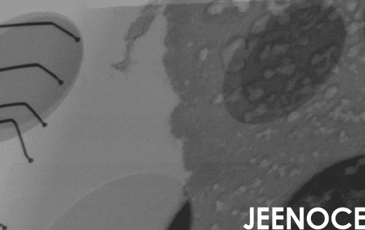 选型与落地全指南（质量经理/总监版）：以KPI驱动X-ray检测设备决策(图1)